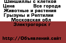 Шиншиллы с клеткой › Цена ­ 8 000 - Все города Животные и растения » Грызуны и Рептилии   . Московская обл.,Электрогорск г.